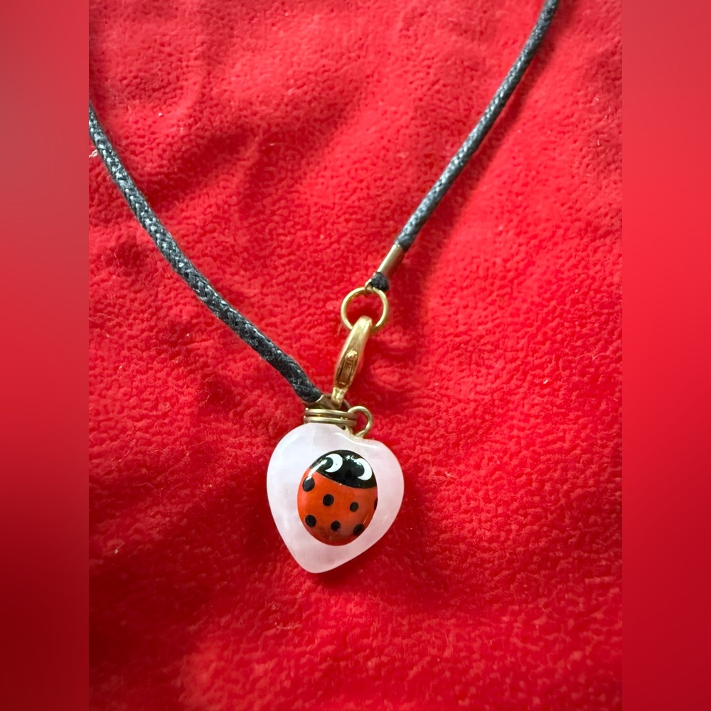 Ladybug Heart Pendant Necklace
